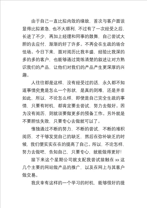 大学生实习报告十三