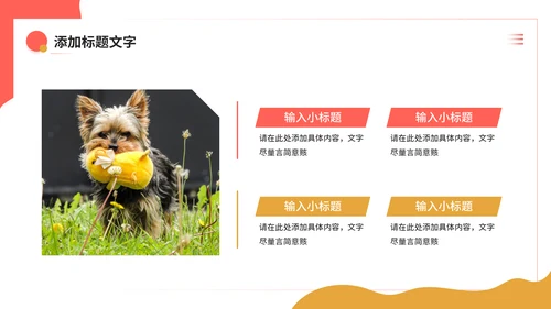 宠物健康护理，狗狗通用PPT模板