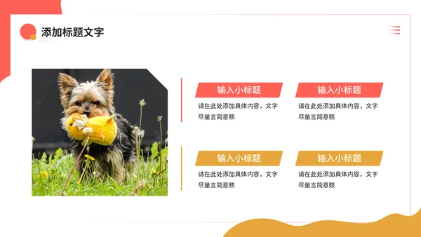 宠物健康护理，狗狗通用PPT模板