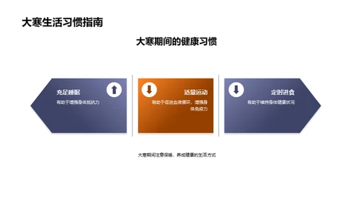 大寒养生之道