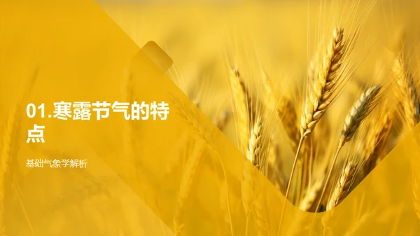 寒露农事与科学应对