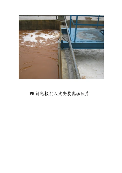 PH计DO仪的选型安装使用说明及注意项目.docx