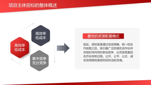违规招标投标法律风险防控PPT课件