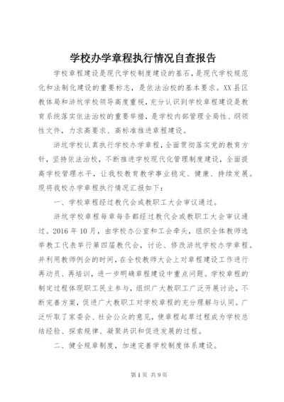 学校办学章程执行情况自查报告.docx