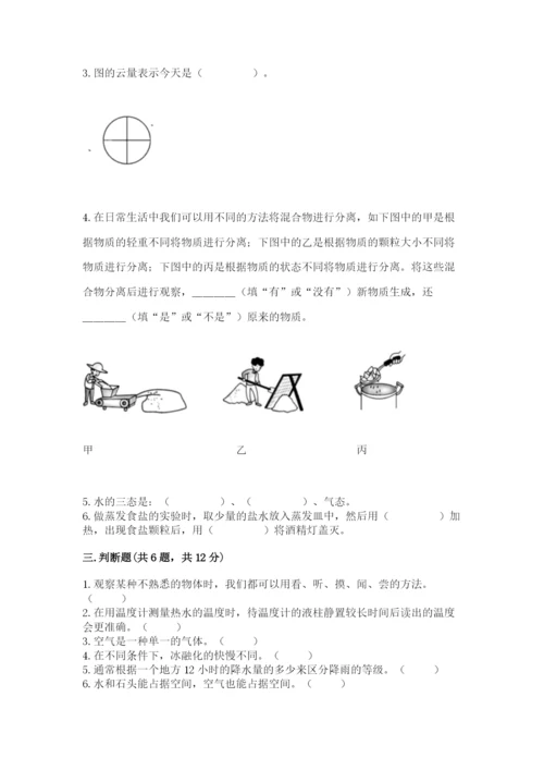教科版三年级上册科学期末测试卷【历年真题】.docx