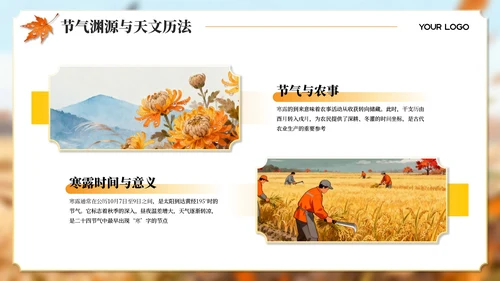 橙黄色寒露主题教育宣传PPT模板