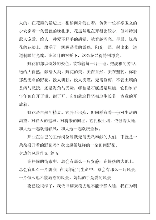 我身边的美景作文