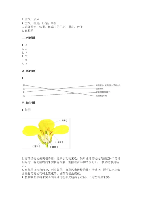 教科版四年级下册科学第一单元《植物的生长变化》测试卷带精品答案.docx