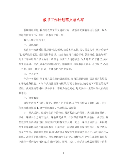 精编之教书工作计划范文怎么写.docx