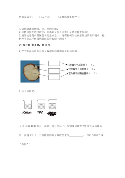 科学四年级下册第一单元《植物的生长变化》测试卷（能力提升）.docx