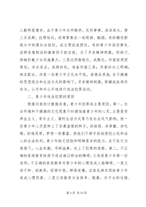 违法犯罪活动调研方案.docx