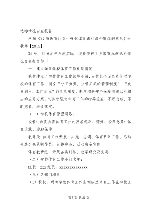 体质达标自查报告.docx