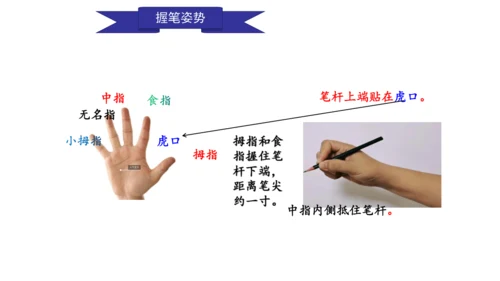 部编版一年级上册语文《我爱学语文》课件