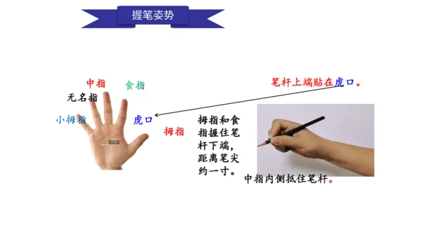 部编版一年级上册语文《我爱学语文》课件