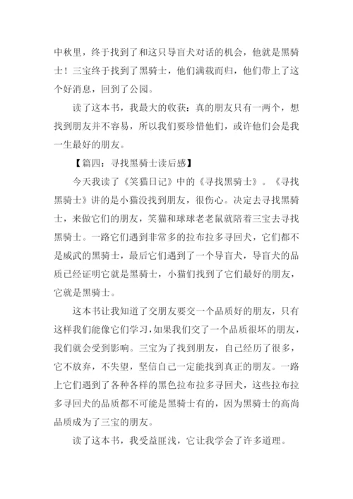 寻找黑骑士读后感300字.docx