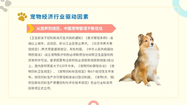 简约实图狗宠物经济行业前景分析报告汇报模板