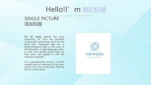 洗衣机营销动态PPT