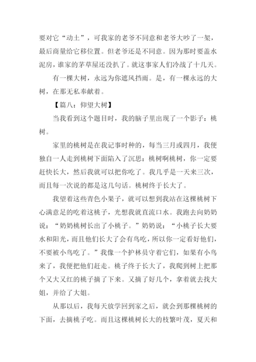 仰望大树作文600字借物抒情.docx