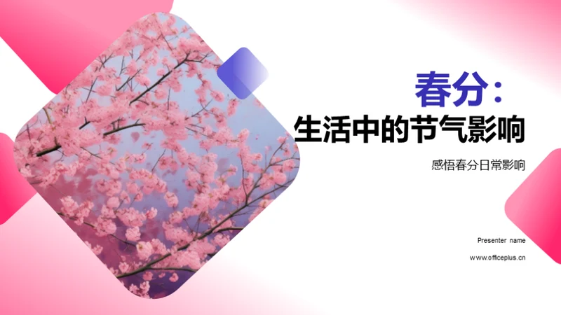 春分：生活中的节气影响