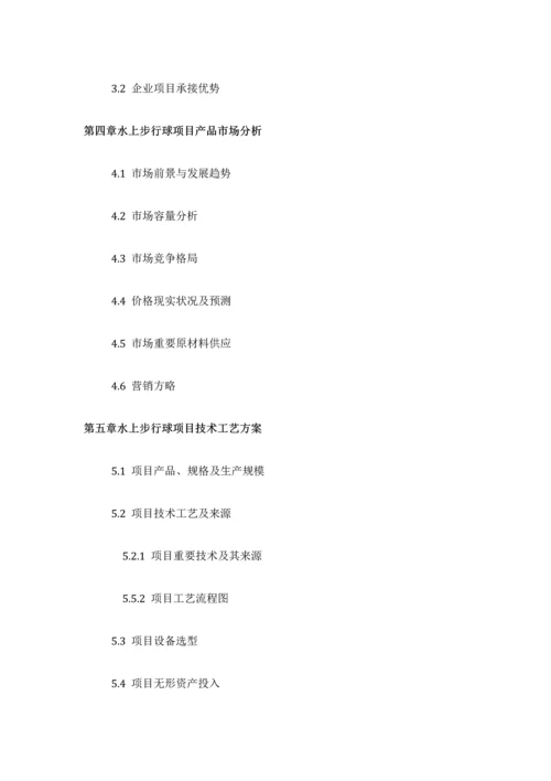 水上步行球项目可行性研究报告发改立项备案最新案例范文详细编制方案.docx