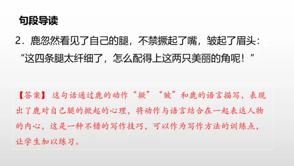 2美丽的鹿角  课件