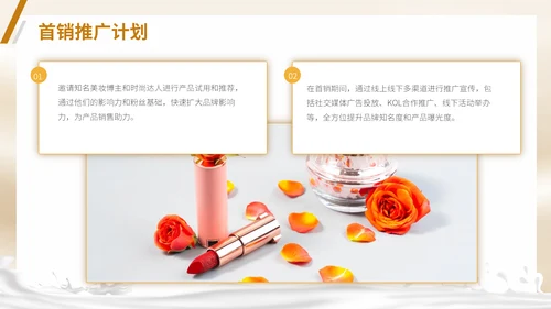 彩妆化妆品护肤品新产品上市推广方案通用PPT