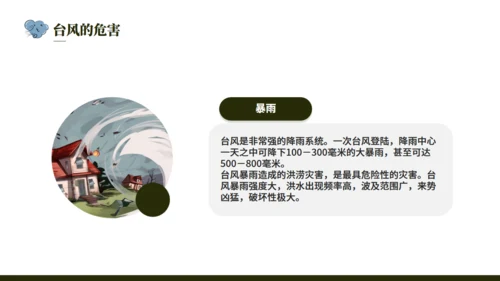 台风来袭，防台风安全教育培训通用PPT模版