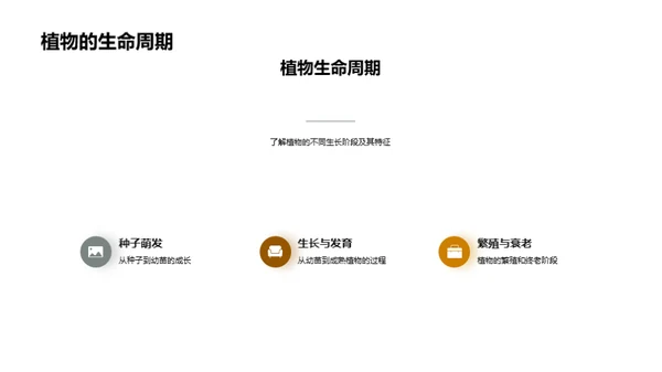 商务风教育培训教学课件PPT模板