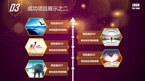 唯美2016年商务工作总结述职报告PPT