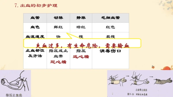 初中生物学[期末专区]七年级下册第四章和第五章复习课件(共39张PPT)