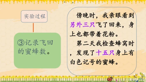 14《蜜蜂》课件