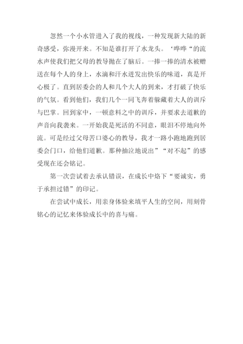 在尝试中成长作文-17.docx