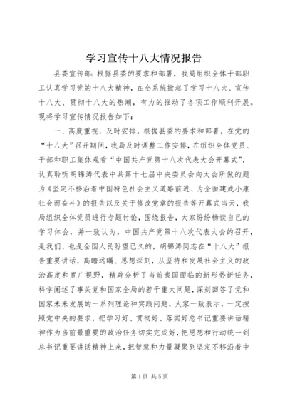 学习宣传十八大情况报告.docx