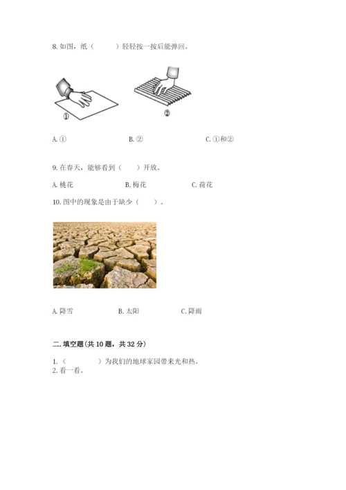 教科版二年级上册科学期末测试卷精品（模拟题）.docx