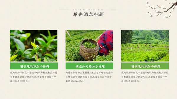 茶叶茶艺茶道春茶绿茶农村旅游茶园茶文化ppt