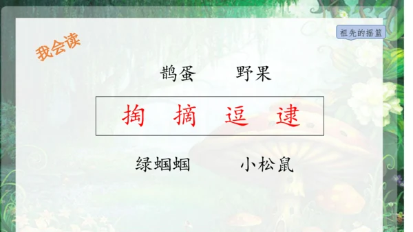 23祖先的摇篮 课件