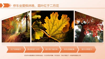 橙色简约风枫叶图文页