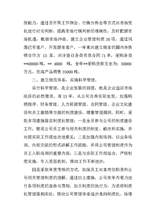 XX年企业工作总结及年工作计划