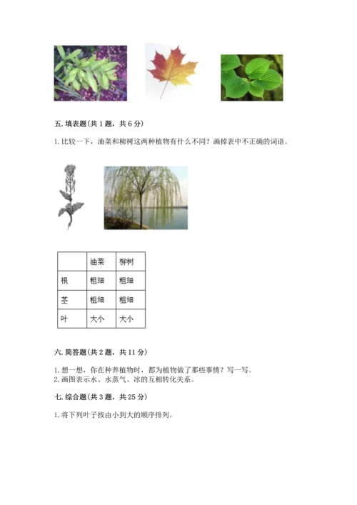 教科版科学一年级上册第一单元《植物》测试卷附参考答案【完整版】.docx
