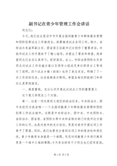 副书记在青少年管理工作会讲话.docx