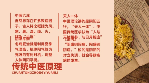 冬病夏治中医养生方案通用PPT课件模板