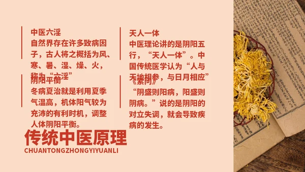 冬病夏治中医养生方案通用PPT课件模板