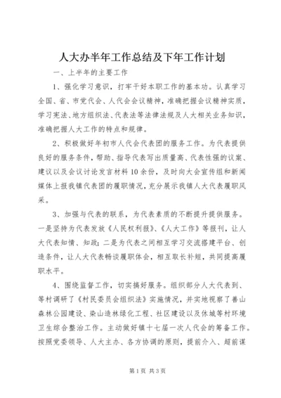 人大办半年工作总结及下年工作计划.docx