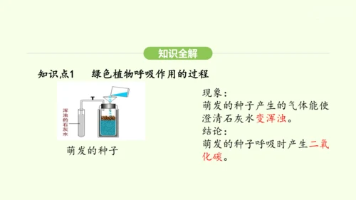 第三单元-第二章-第三节-呼吸作用课件-2024-2025学年七年级生物下学期人教版(2024)(共
