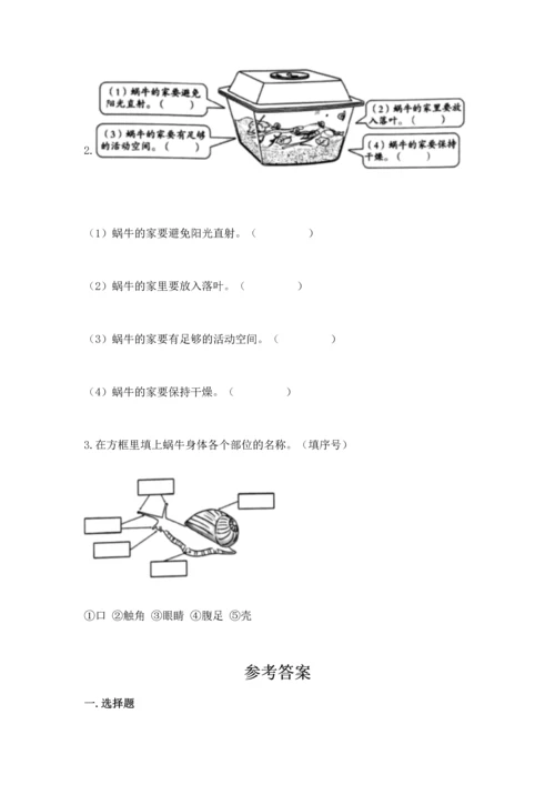 教科版一年级下册科学期末测试卷精品附答案.docx