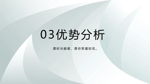 高端品牌介绍策划方案工作总结计划PPT
