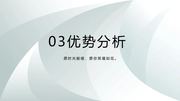 高端品牌介绍策划方案工作总结计划PPT