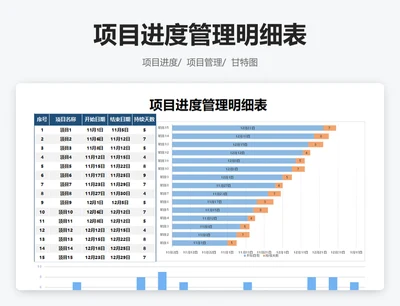 项目进度管理明细表