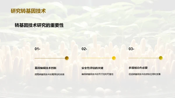 转基因植物
