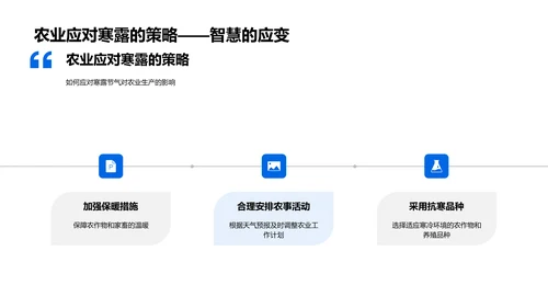 寒露文化现代传承